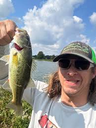 This ones for you Thomas E. Jr. Bulger These hounds have not stopped  growing. 4 months.