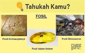 Bahan bakar fosil termasuk ke dalam kelompok energi yang sulit diperbaharui. Sejarah Kelas 10 Jenis Jenis Sumber Sejarah