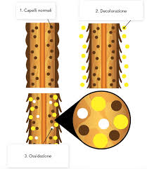 Conoscere il proprio fototipo è il punto di partenza … Capelli Decolorati Cosa Succede Come Curarli E Trattarli Shampora Blog