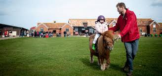 Historically, the farm was part of the norristown state. Suffolk Coast Attractions Easton Farm Park Suffolk