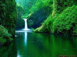Adjustable speed of screensaver selectable screen resolution. Free Screensavers And Backgrounds Wallpaper Cave