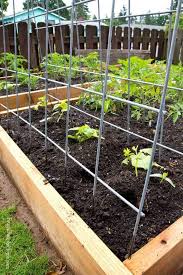 Maybe you would like to learn more about one of these? 22 Best Diy Trellis Ideas Easy Garden Trellis Project Designs