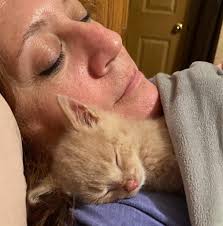 Found new orange kitten outside