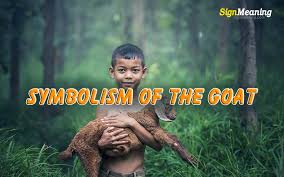 Goat is an acronym that stands for greatest of all time. you will most likely see the acronym in sports discussions when people are referencing the greatest athlete in a particular sport. Goat Spirit Animal Bible Meaning And Symbolism Of The Goat