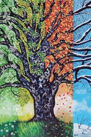 The book looks at a maple tree through the seasons. A Tree For All Seasons Canvas Art Print By Jerry Lee Kirk Icanvas