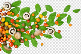 Download 2000+ food pictures ⋆ the best free food photos for commercial use ⋆ cc0 license. Free Download Green Leaves And Mushrooms Superfood Vegetable Natural Foods Healthy Food Transparent Background Png Clipart Hiclipart
