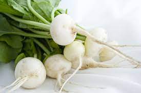 Hailstone Radish White Harvest Seed Company