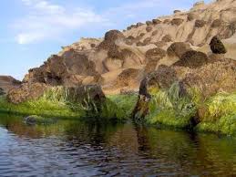 منظر طبيعي جميل لمنطقة سيدي القرشي ببلدية أزفون ولاية تيزي وزو الجزائر Natural Landmarks Nature Outdoor