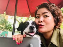 Hello! Please recommend some hotels for dogs