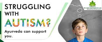 Natural Ayurvedic Treatment For Autism Nd Care Nirogam Pvt Ltd