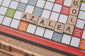 Built by word scramble lovers for word scramble lovers, see how many words you can spell in scramble words, a free online word game. Scrabble Word List Vowel Heavy 6 Letter Words