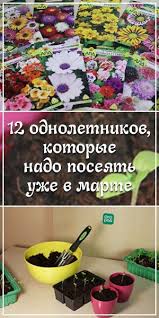 посадка цветов на рассаду в марте по лунному календарю Vyrashivanie Ovoshej Po Dzhonu Dzhevonsu Nebyvalyj Urozhaj Pri Minimalnom Uhode Cvetnik Plan Posadka Cvetov I Vyrashivanie Ovoshej