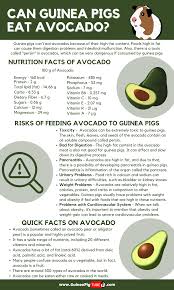 Pin On Cutest Pig Stuffed Animal Stuffed Animal Toys