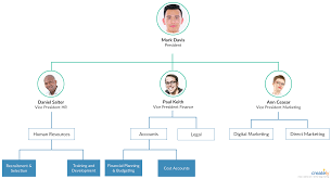 A Simple Organization Chart To Present Astrids Top Level