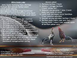 Boleh dijemur tapi cuma sebentar lalu diumbar ditempat yang sejuk. Super Kamlang Hijau Kering Herbal Ayam Petarung Ø§Ù„Ù…Ù†Ø´ÙˆØ±Ø§Øª ÙÙŠØ³Ø¨ÙˆÙƒ