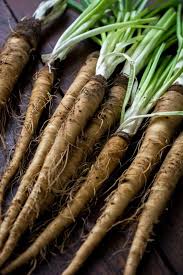 Comment Preparer Et Cuisiner Des Salsifis Recette Salsifis Scorsonere Comment Preparer
