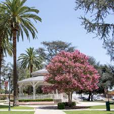 Temple city animal hospital awards & accolades. Temple City Animal Hospital Home Facebook