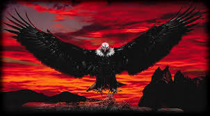 Black And Red Eagle Photograph By Kujta Makolli Affordable and search from millions of royalty free images, photos and vectors. black and red eagle by kujta makolli