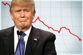 Image result for donald trump lost