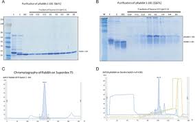 Aplikasi ini mudah digunakan karena menggunakan format excel. Ppm1h Phosphatase Counteracts Lrrk2 Signaling By Selectively Dephosphorylating Rab Proteins Biorxiv