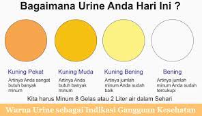 Check spelling or type a new query. 52 Terbaru Jenis Warna Urin Campuran Warna