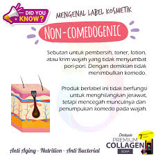 Non Comedogenic Krim Wajah Anti Penuaan Kolagen