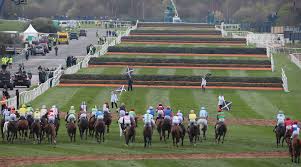 2016 grand national winner 'rule the world' ~ bred by mrs p.g. Myracing S Crucial Guide To The 2021 Grand National Myracing