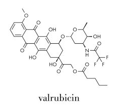 Image result for Valrubicin