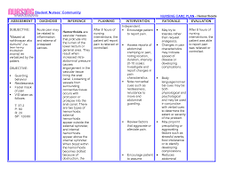 good nursing home care plans examples sample nursing care