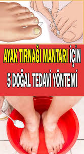 Sus Panosundaki Pin