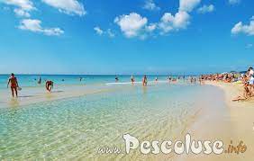 Case vacanze in affitto nella zona delle maldive del salento sulle spiagge di pescoluse,torre pali, torre vado, lido marini.scegli la tua vacanza. Le Maldive Del Salento