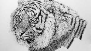 Tweet today's article is all about incredibly realistic pencil drawings of cute and adorable animals. How To Draw Realistic Animal Fur Explained By Autistic Artist Youtube