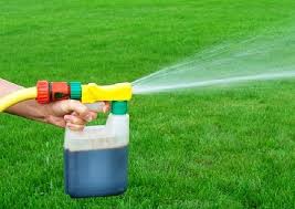 We did not find results for: The Best Liquid Fertilizers For Lawns Maximum Growth Green