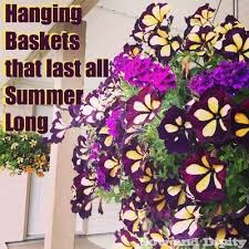 In your recipient's time zone. Hanging Baskets That Last All Summer Long