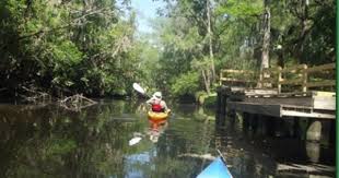 Lithia Springs Florida Blog By Sherry And David Florida Springs Lithia Springs Lithia Florida
