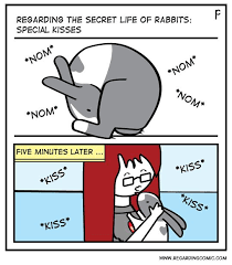 Isn T It Sweet Secret Life Of Rabbits Secret Life Rabbit