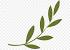 Clip Art Olive Branches