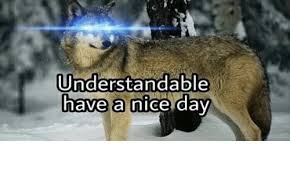 Understandable have a great day. Understandable Have A Nice Day Dank Meme On Me Me