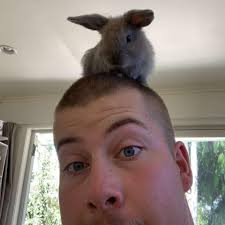 How to get a ride from Taupo to Waikato university