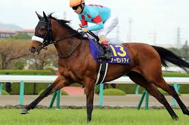 Explore tweets of 小舞酱 @wuuuuuucy on twitter. æ—¥æœ¬ç«¶é¦¬ æ­´ä»£ç«¶èµ°é¦¬ãƒ©ãƒ³ã‚­ãƒ³ã‚°2020å¹´æœ€æ–°ç‰ˆ