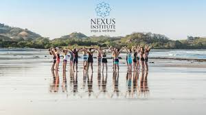 nexus insute yoga wellness