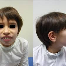 Jillian M. Cameron's research works