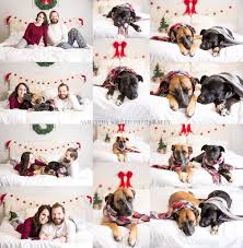 Holiday Photos Christmas Photos In Bed Couples Dogs Dog Holiday Photo Ideas Chris Christmas Couple Pictures Family Holiday Pictures Dog Christmas Pictures