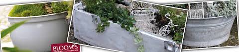 Man braucht keinen grünen daumen und. Mini Garten Shop Pflanzgefasse