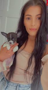 I'm a first time small dog