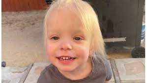 Petition · Demand Accountability and Thorough Investigation from Child  Protective Services