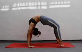 We did not find results for: The Psoas Defined Explained And Explored In 6 Yoga Poses