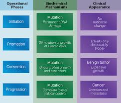 Toxtutor Cancer