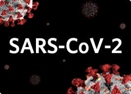 Vídeos, fotos, audios, resúmenes y toda la información de coronavirus en rpp noticias. Nxtag Respiratory Pathogen Panel