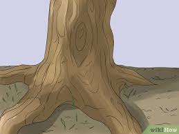 As many gardeners will tell you, ivy can be a particularly troublesome pest. 4 Ways To Remove An Ivy Plant Wikihow